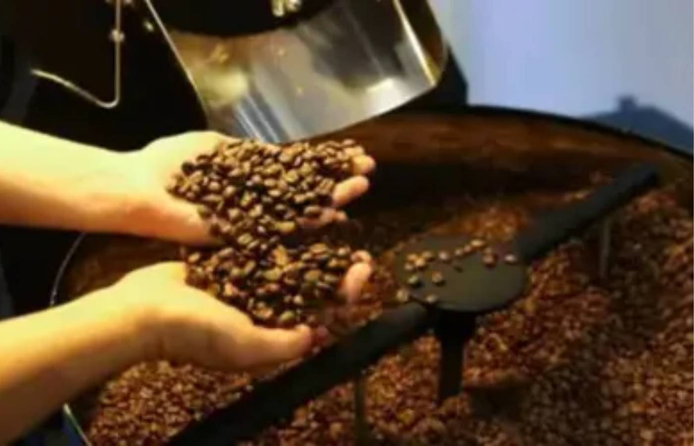 Café hoje: confira cotações para esta quarta-feira (10)