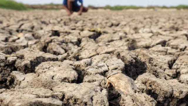 Empresas projetam perdas com efeitos do El Niño, mas algumas veem ganhos