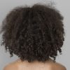 Cabelo ressecado no inverno? Veja como manter os fios hidratados