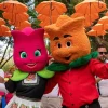 Chuva de pétalas, novas atrações e homenagem à tulipa: veja o que vai ter na Expoflora 2025