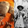 Crânios de Lampião e Maria Bonita seguem conservados em museu: entenda como