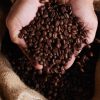 Setor cafeeiro intensifica negociações para reverter tarifa dos EUA sobre café brasileiro