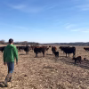Plano de Trump para importar carne argentina irrita fazendeiros dos EUA