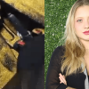 “Vingança brilhante”: traída, mulher espalha glitter na casa e carro de ex