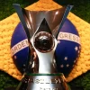 Brasileirão: veja classificados à Libertadores, Sul-Americana e rebaixados